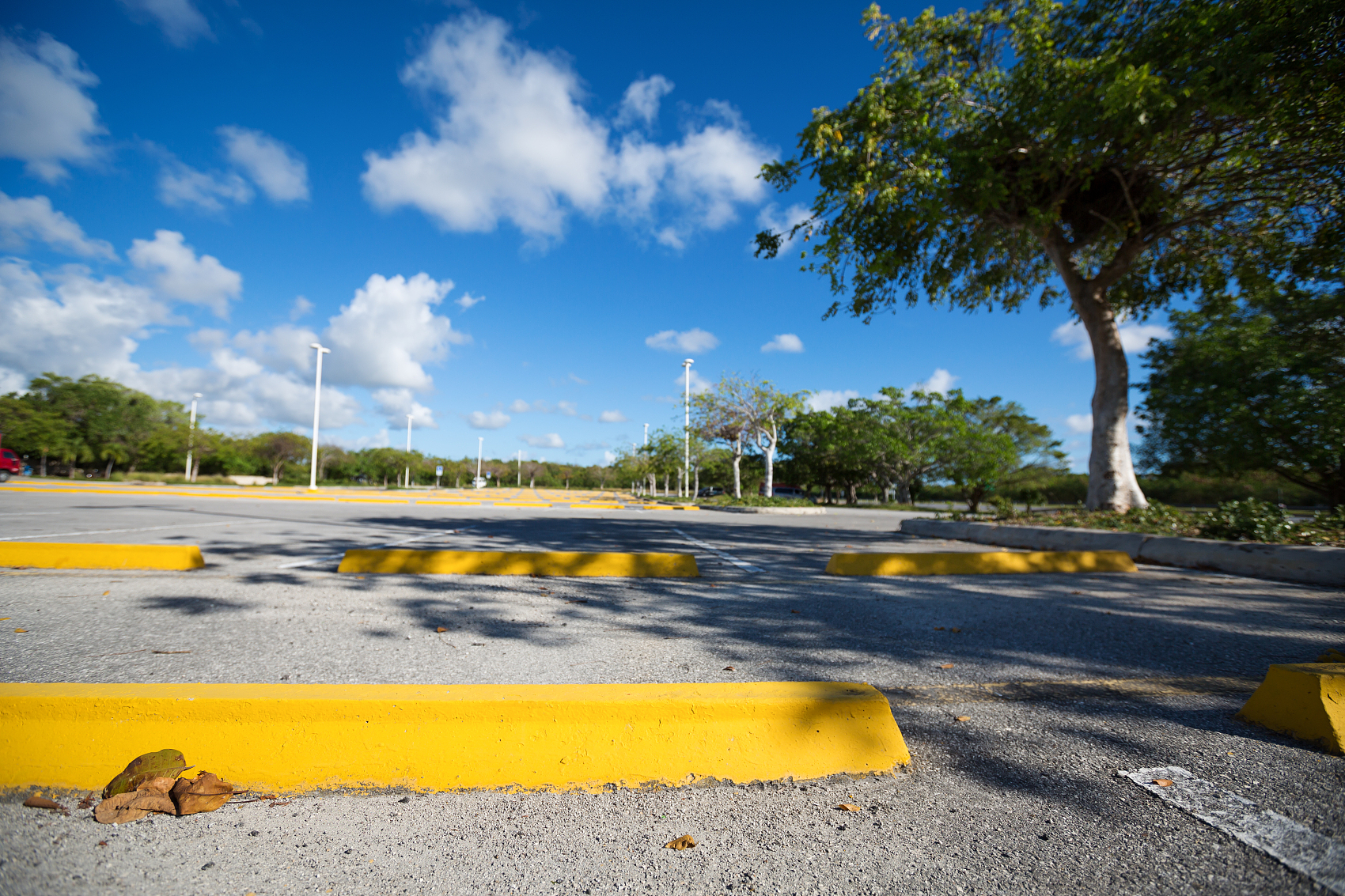停車(chē)管理系統